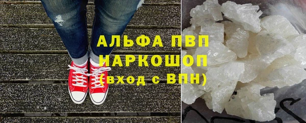прущие грибы Бородино