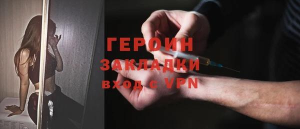 прущие грибы Бородино