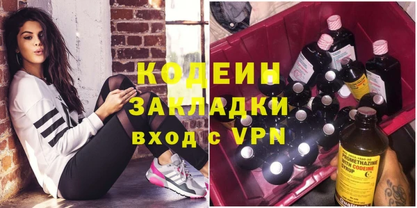 прущие грибы Бородино