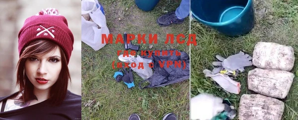 прущие грибы Бородино