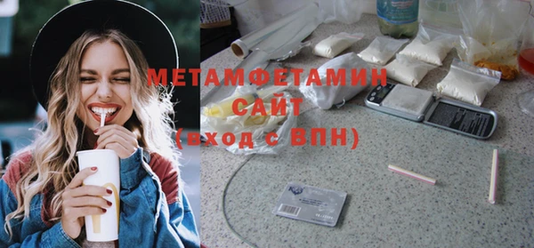 прущие грибы Бородино