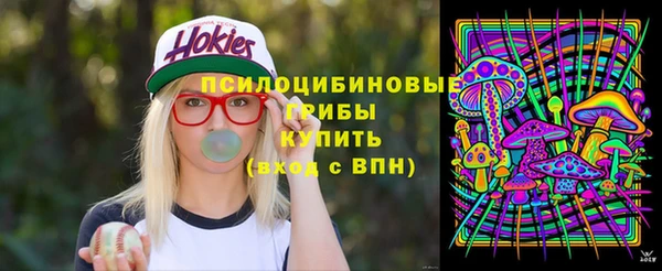 сатива Бугульма