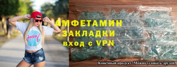 прущие грибы Бородино
