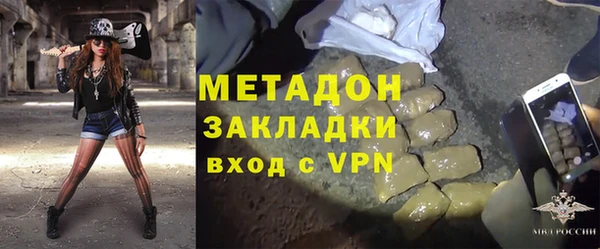 прущие грибы Бородино