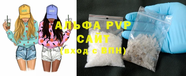 прущие грибы Бородино
